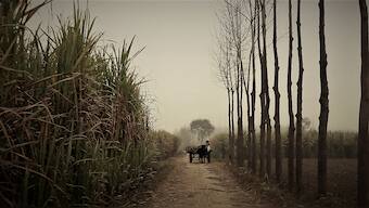 Muzaffarnagar Baaqi Hai: Nakul Singh Sawhney examines the anatomy of a riot