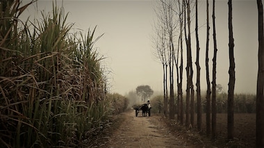 Muzaffarnagar Baaqi Hai: Nakul Singh Sawhney examines the anatomy of a riot