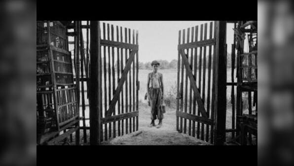 Venice Film Festival 2019: Holocaust film The Painted Bird's 'brutal' scenes lead to mass walkouts