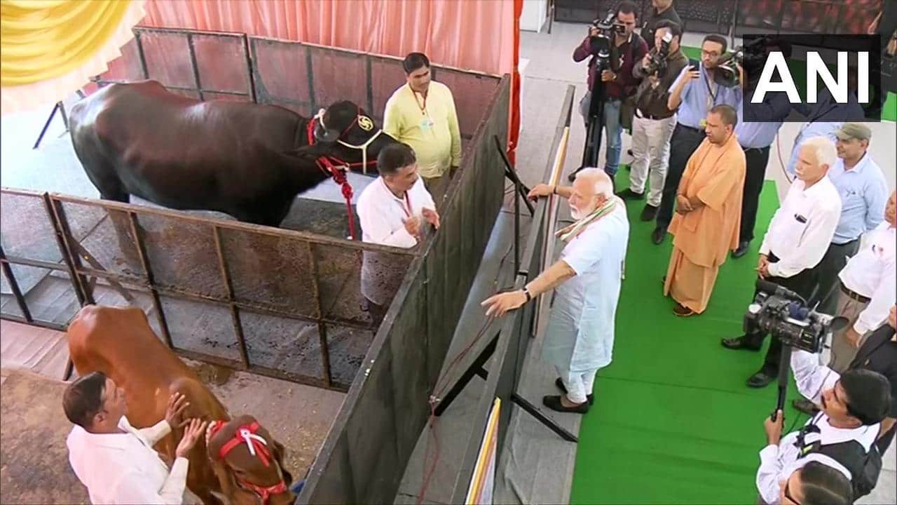 Saying Om or cow is not regressive, says Narendra Modi in Mathura; PM