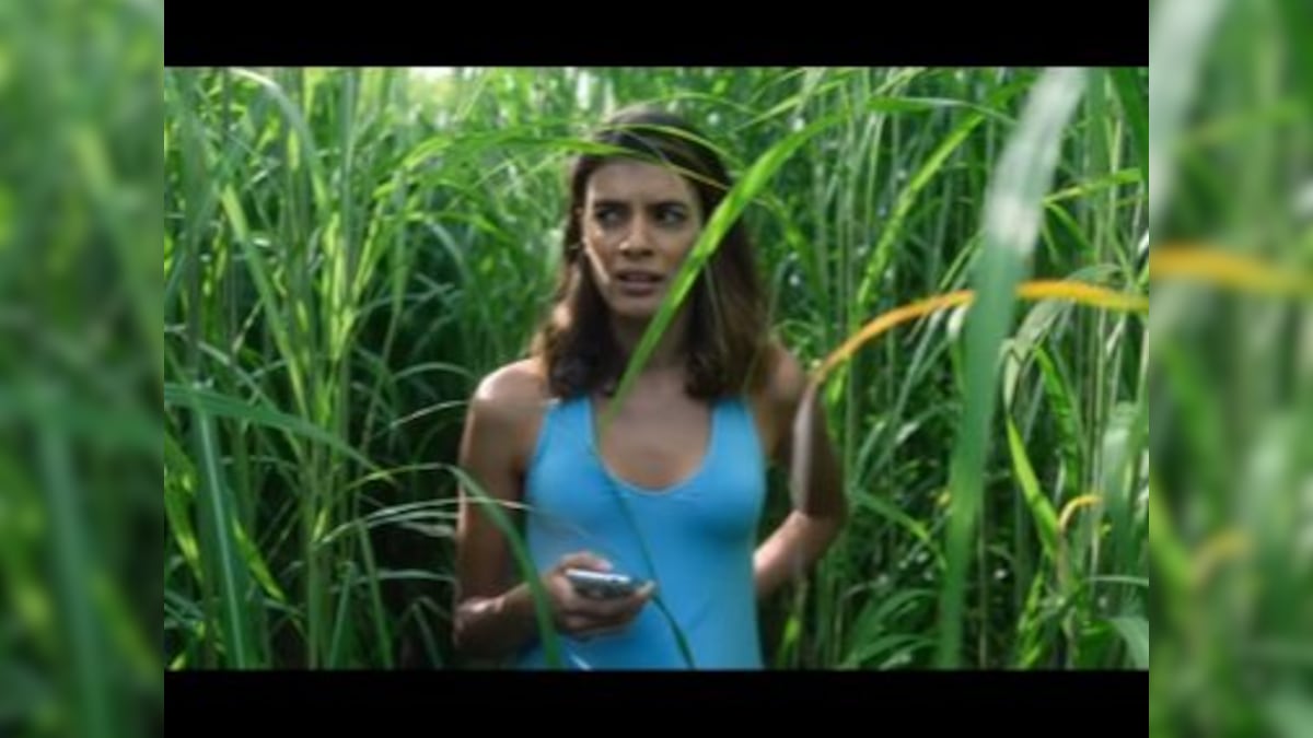 In The Tall Grass Trailer Netflix Adaptation Of Stephen King Novella Follows Tale Of Two 