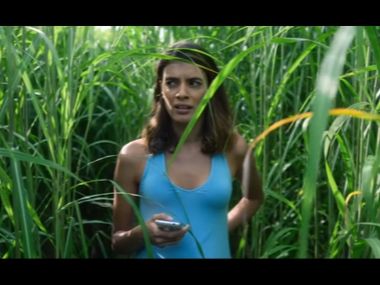 In the Tall Grass trailer: Netflix adaptation of Stephen King novella follows tale of two siblings stuck in a rather odd situation In the Tall Grass trailer: Netflix adaptation of Stephen King novella follows tale of two siblings stuck in a rather odd situation