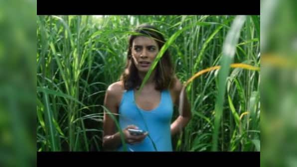 In the Tall Grass trailer: Netflix adaptation of Stephen King novella follows tale of two siblings stuck in a rather odd situation