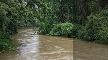 Goa's waterways splinter, as ill-planned road development continues unabated