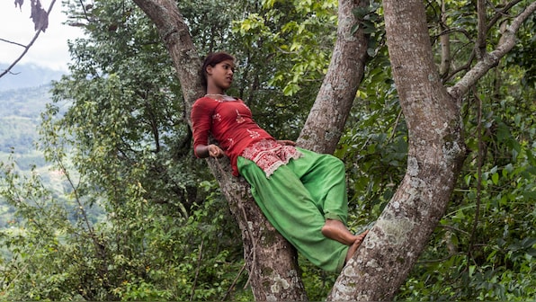 Rural Nepal's women, burdened by menstrual taboos, find solace in the forest