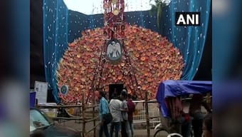 Durga Puja committee in Kolkata designs pandal to raise awareness about harmful effects of mobile tower radiation on birds