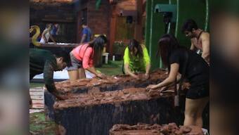 Bigg Boss 13 Day 24 highlights: Siddharth Shukla, Paras Chhabra get embroiled in a spat yet again