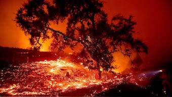 Melting ice, increasing temperatures, natural calamities are warning signs for climate change