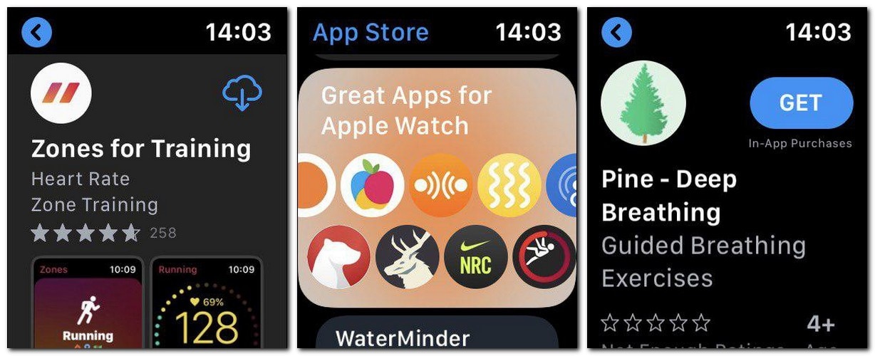 watchOS apps can now by downloaded from the App Store app on the Watch
