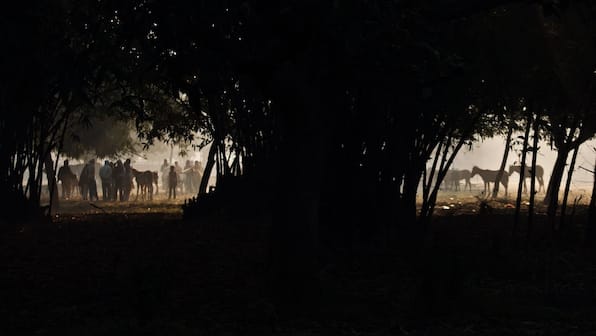 At the Sonepur Cattle Fair, humans and animals meet to celebrate myriad cultures and traditions
