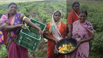 Marathwada: Women tackle climate emergency through sustainable, organic agriculture