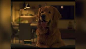 Cheesecake review: TVF's new web series on MX Player doesn't go beyond a pleasant slice-of-life watch