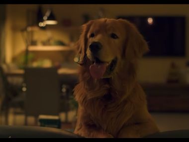 Cheesecake review: TVF's new web series on MX Player doesn't go beyond a pleasant slice-of-life watch Cheesecake review: TVF's new web series on MX Player doesn't go beyond a pleasant slice-of-life watch