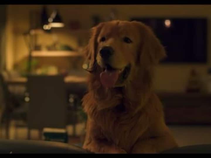 Cheesecake review: TVF's new web series on MX Player doesn't go beyond a pleasant slice-of-life watch