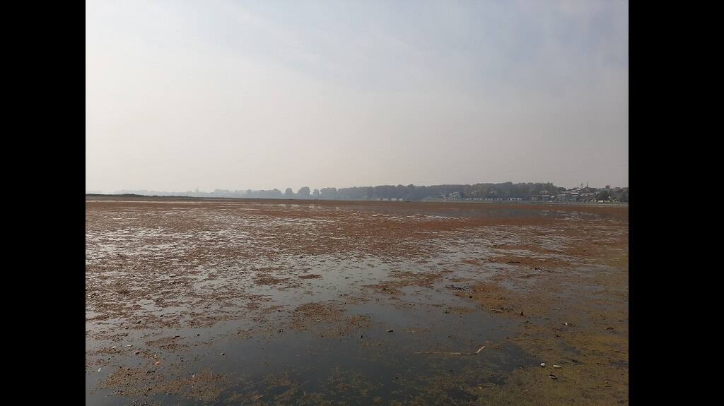 A small patch of the lake was cleaned for the visit of the European MEP delegation. Photo credit: Faisal Bhat/ The Third Pole
