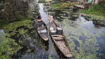 As political uncertainty looms over Jammu and Kashmir, Dal Lake nears its death