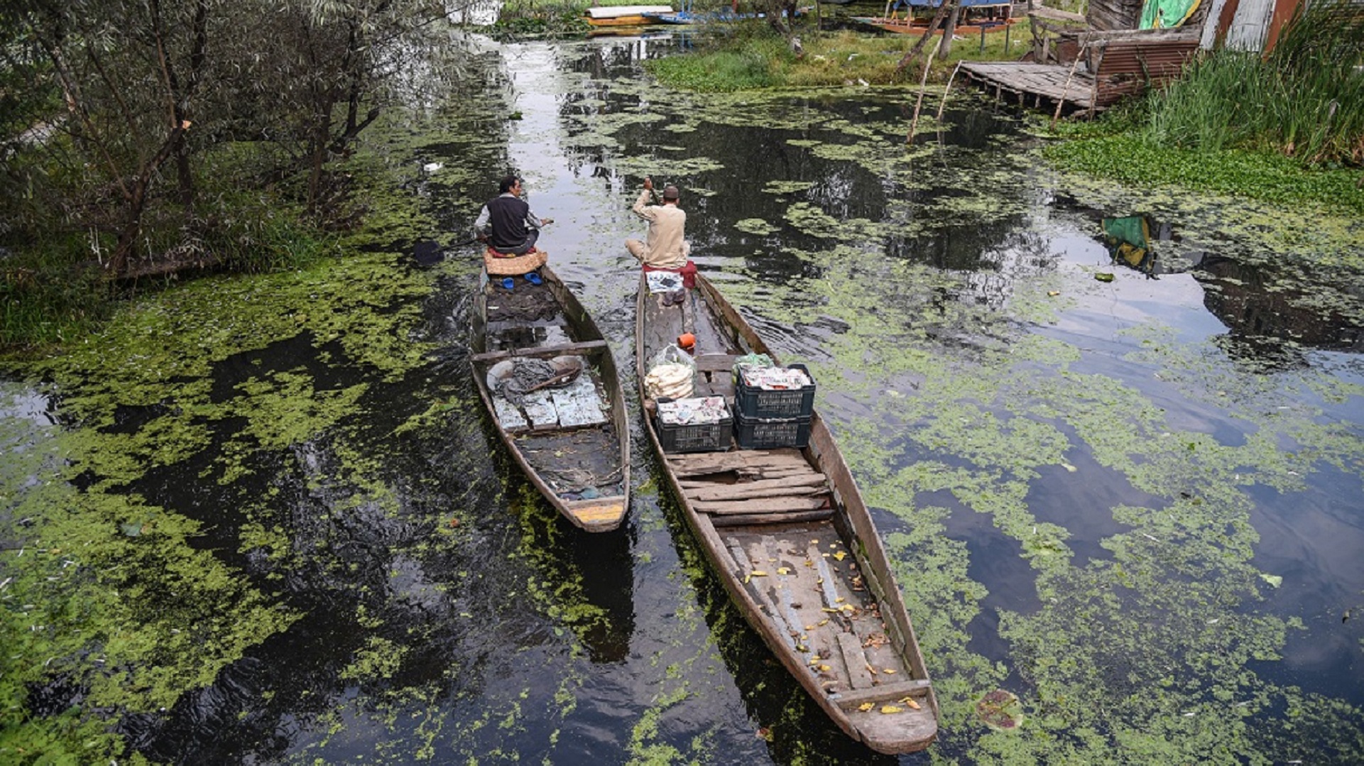 As political uncertainty looms over Jammu and Kashmir, Dal Lake nears its death As political uncertainty looms over Jammu and Kashmir, Dal Lake nears its death