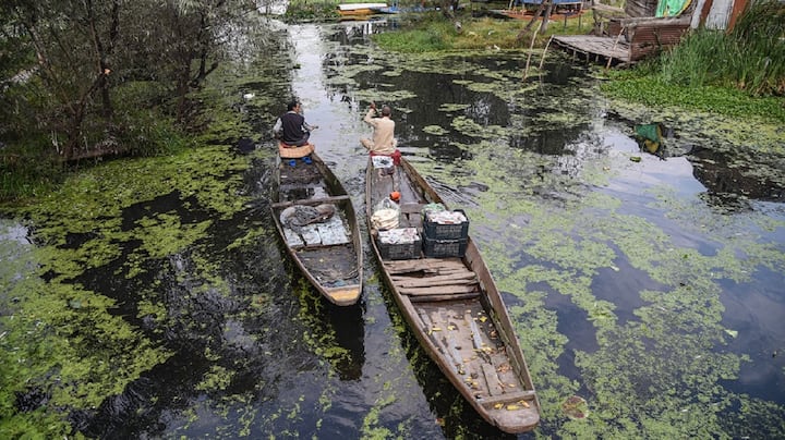 As political uncertainty looms over Jammu and Kashmir, Dal Lake nears its death As political uncertainty looms over Jammu and Kashmir, Dal Lake nears its death