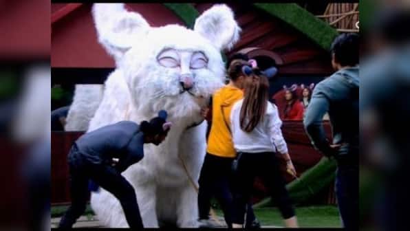 Bigg Boss 13 Day 73 highlights: Shehnaz Gill fights with Sidharth Shukla, Paras Chhabra for captaincy