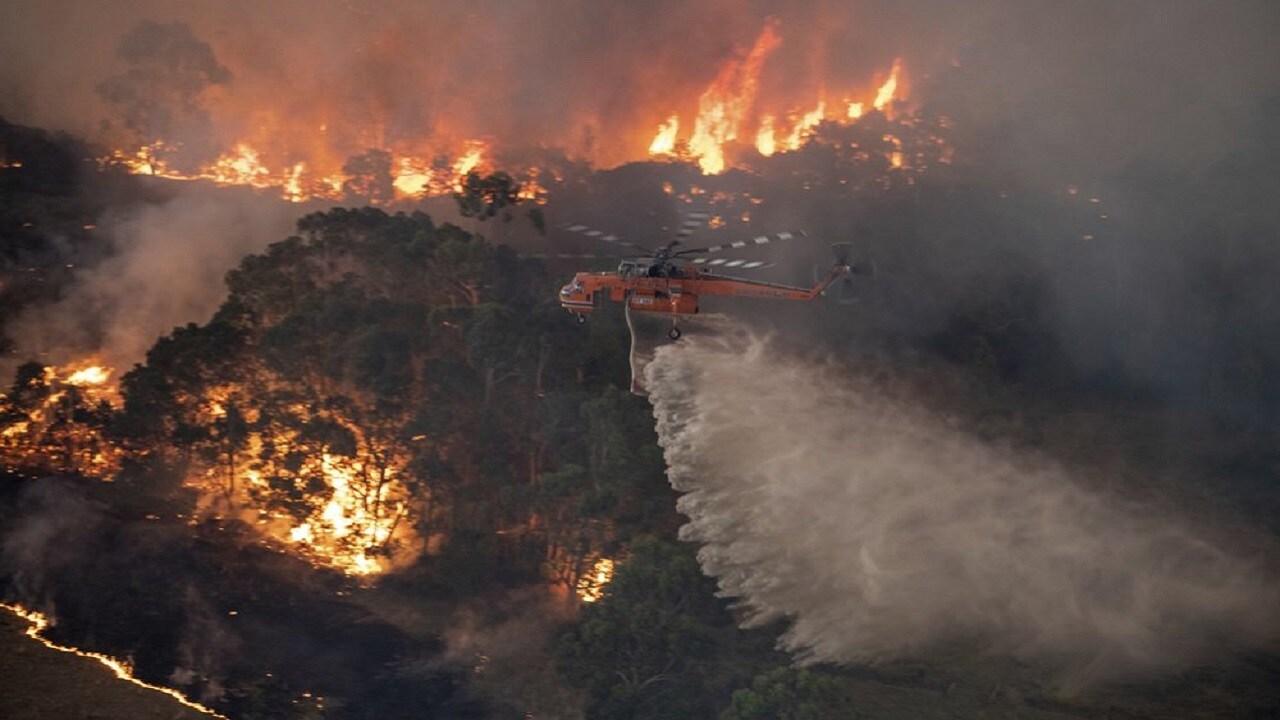 Australia Bushfires New Estimate Suggests One Billion Animals Have Perished Nationwide Technology News Firstpost