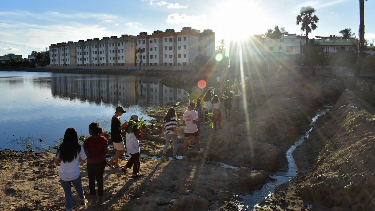 Chennai: How a restored wetland brought relief to residents in city's drought-prone area