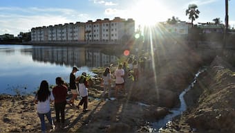 Chennai: How a restored wetland brought relief to residents in city's drought-prone area