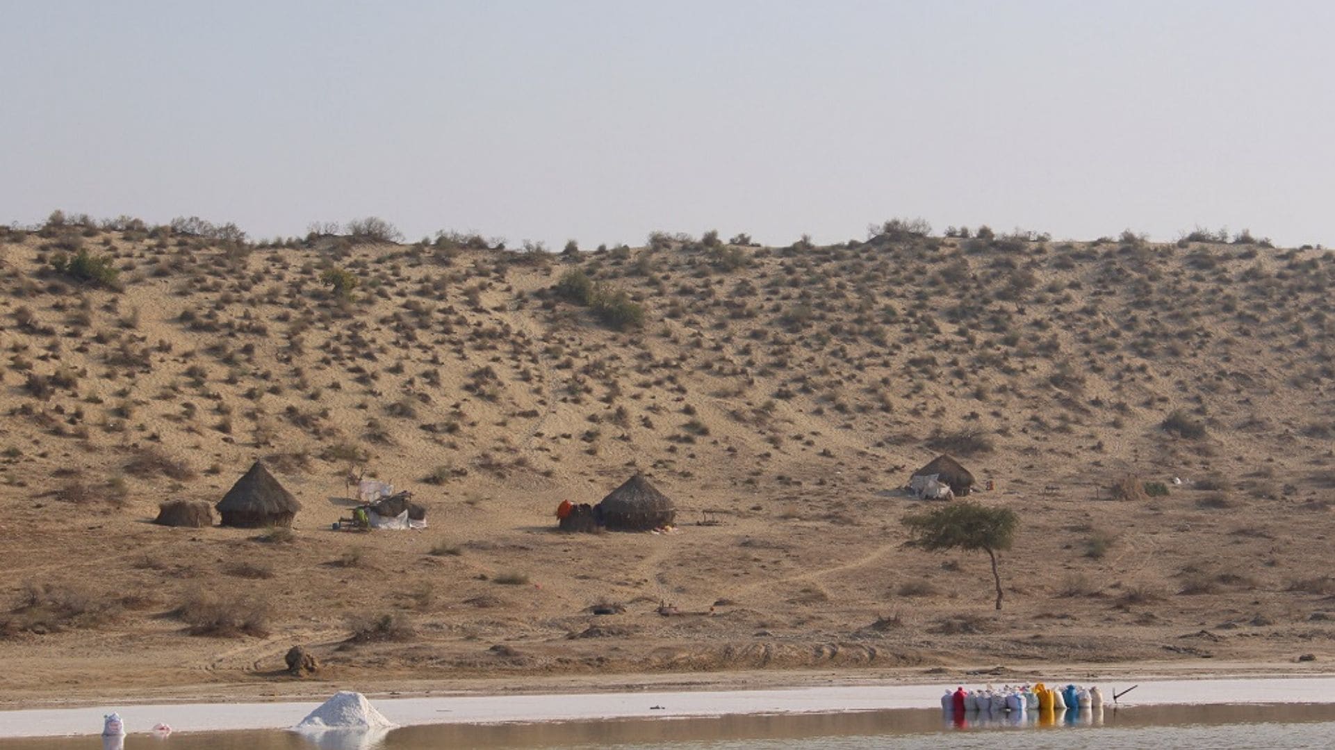 Beyond Achro Thar's scenic landscape, harsh reality of salt miners' living conditions, wages