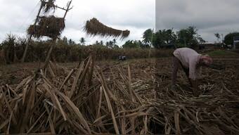 Recent floods force farmers at Maharashtra-Karnataka border to straddle two states, owing to compensation policies
