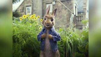 Coronavirus outbreak leads to push in release of Peter Rabbit 2 from early April to 7 August, Sony Pictures confirms