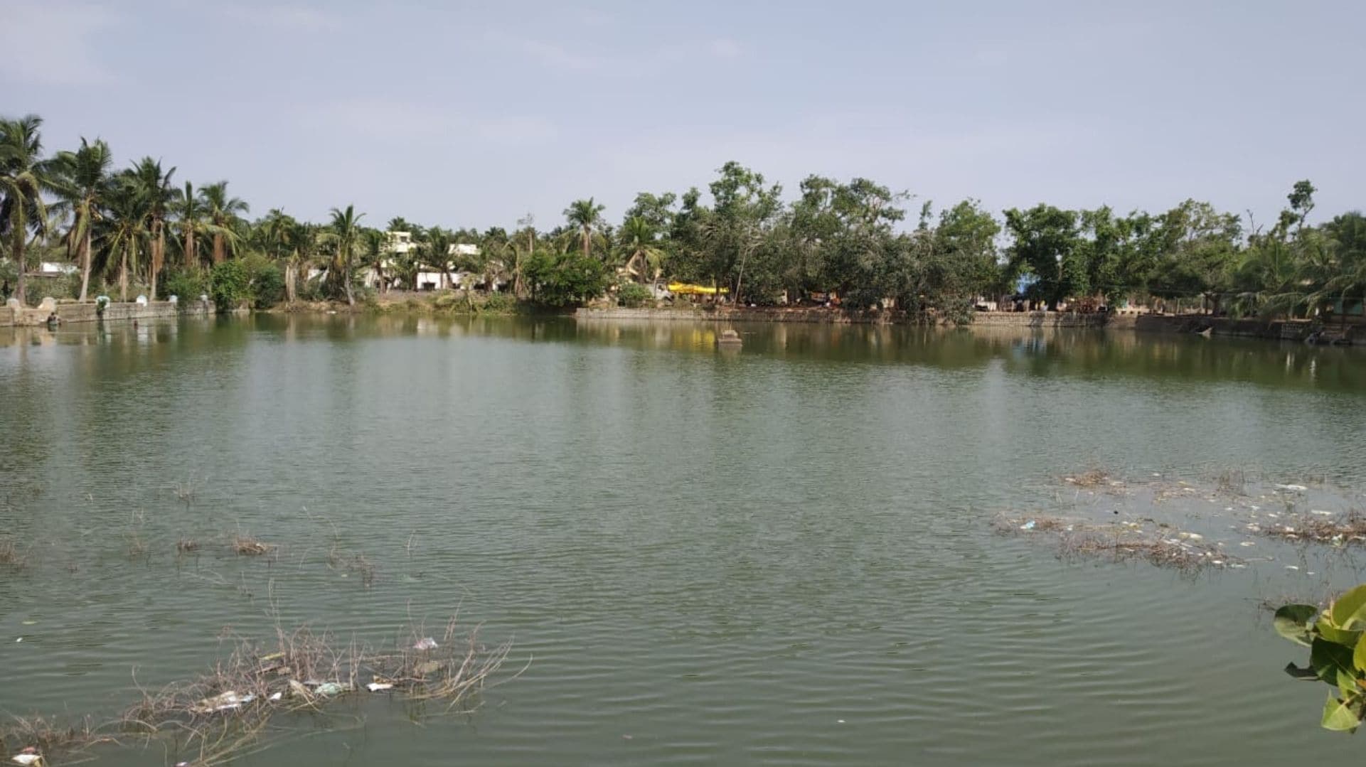 Kaveri delta: How Tamil Nadu's new protected special agricultural zone will impact livelihoods