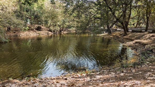 A river runs through it: Tracing the Dahisar's meandering — and dwindling — path