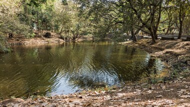A river runs through it: Tracing the Dahisar's meandering — and dwindling — path