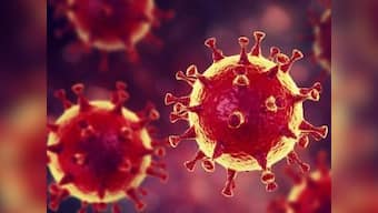 Indian-origin researcher part of Canadian team who isolated coronavirus strain; move will help world find treatment, vaccine