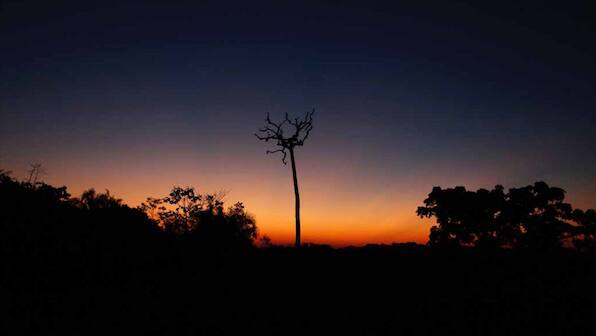 On 50th Earth Day, a look at what is causing the Amazon rainforest to fast approach its tipping point