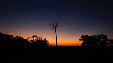 On 50th Earth Day, a look at what is causing the Amazon rainforest to fast approach its tipping point
