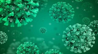 Covid 19 Vaccine Chadox1 By Oxford University Shows Some Positive Results In Monkeys Human Trails Still Underway Health News Firstpost