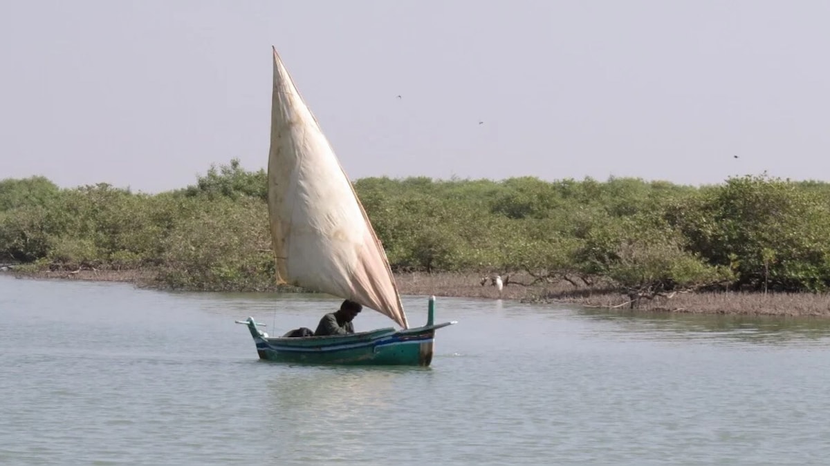 Lack of Pak govt's intervention can spur migration, ecological imbalances in once-flourishing Indus Delta