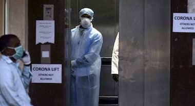 Life after COVID-19: What the road to recovery from the coronavirus looks like