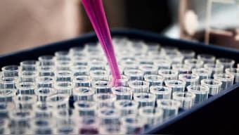 FDA warns against the usage of Remdesivir along with malaria antiviral hydroxychloroquine