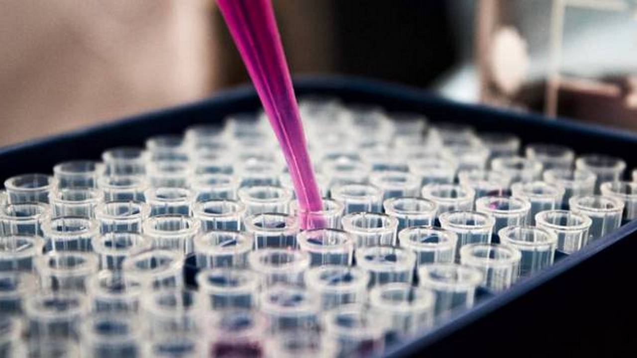 FDA warns against the usage of Remdesivir along with malaria antiviral hydroxychloroquine FDA warns against the usage of Remdesivir along with malaria antiviral hydroxychloroquine