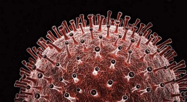 Scientists suggest twin antibodies for the treatment of COVID-19: Here's what that means Scientists suggest twin antibodies for the treatment of COVID-19: Here's what that means