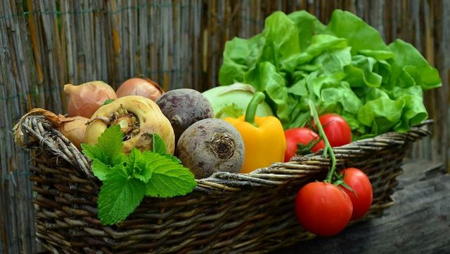 World Vegetarian Day 2020: Lower risk of heart diseases, improved metabolism among benefits of plant-based diet World Vegetarian Day 2020: Lower risk of heart diseases, improved metabolism among benefits of plant-based diet