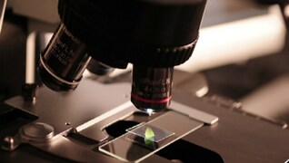 Covid 19 Vaccine Update Harvard Studies Show Dna Vaccines Provide Partial Immunity And Antibodies Prevent Reinfection Health News Firstpost