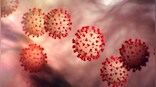 Glenmark to study potential COVID-19 drug combination; to look to enroll 158 hospitalised patients