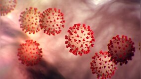 Glenmark to study potential COVID-19 drug combination; to look to enroll 158 hospitalised patients