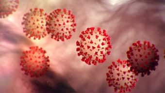 How deadly is COVID-19? Actual fatality rates are tricky to uncover, but researchers are getting closer