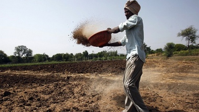 Cheaper gas to cut urea subsidy bill; to boost profitability of urea makers: CRISIL Ratings Cheaper gas to cut urea subsidy bill; to boost profitability of urea makers: CRISIL Ratings