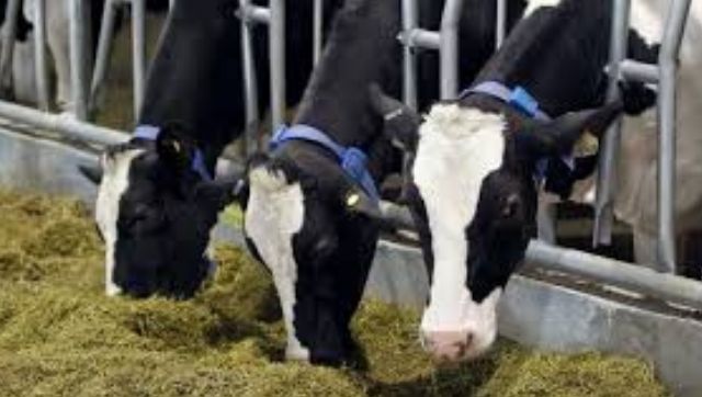 State-run Kerala Feeds clocks turnover of Rs 496 cr in 2019-20; to conduct training programme for expatriates next month State-run Kerala Feeds clocks turnover of Rs 496 cr in 2019-20; to conduct training programme for expatriates next month