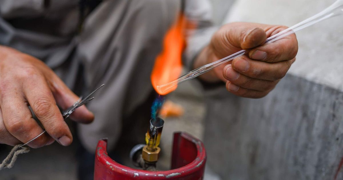 In Afghanistan The Wild Ephedra Shrub Breathes New Life Into Countrys Meth Epidemic Firstpost