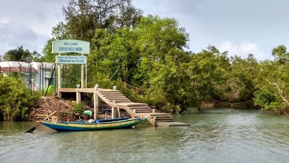 How community-run tourism can help Sundarbans recover from Cylone Amphan's devastating effects